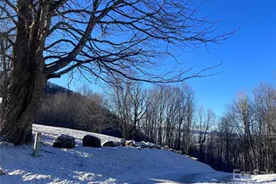 2778 Mule Stomp Rd, Hot Springs, NC 28721 - Photo 29