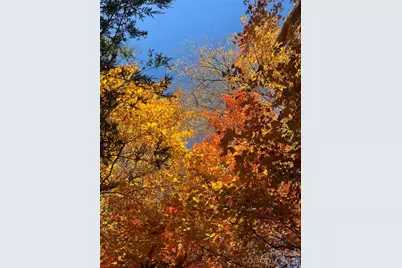 2778 Mule Stomp Road, Hot Springs, NC 28721 - Photo 41