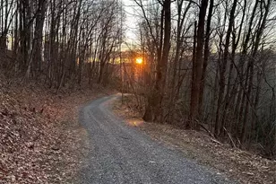 2778 Mule Stomp Rd, Hot Springs, NC 28721 - Photo 45