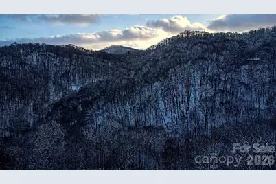 2778 Mule Stomp Road, Hot Springs, NC 28721 - Photo 23