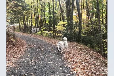 2778 Mule Stomp Road, Hot Springs, NC 28721 - Photo 35