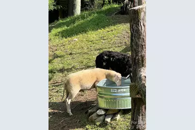 2778 Mule Stomp Road, Clyde, NC 28721 - Photo 35