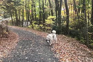 2778 Mule Stomp Rd, Hot Springs, NC 28721 - Photo 7