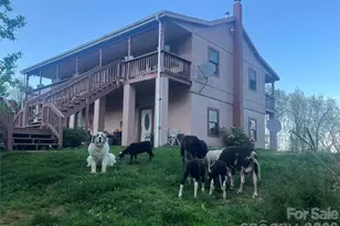 2778 Mule Stomp Rd, Hot Springs, NC 28721 - Photo 17