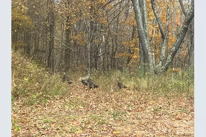 2778 Mule Stomp Road, Clyde, NC 28721 - Photo 15