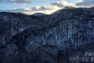 2778 Mule Stomp Rd, Hot Springs, NC 28721 - Photo 9