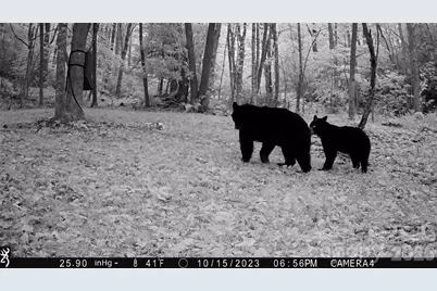 2778 Mule Stomp Road, Hot Springs, NC 28721 - Photo 39