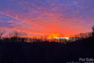 2778 Mule Stomp Rd, Hot Springs, NC 28721 - Photo 25