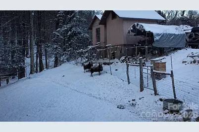 2778 Mule Stomp Road, Hot Springs, NC 28721 - Photo 47