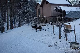 2778 Mule Stomp Rd, Hot Springs, NC 28721 - Photo 47