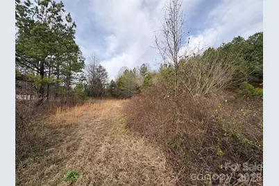 0 Scroggs Cemetery Road #1, Statesville, NC 28677 - Photo 11