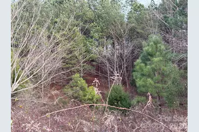 0 Scroggs Cemetery Road #1, Statesville, NC 28677 - Photo 13