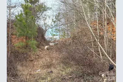 0 Scroggs Cemetery Road #1, Statesville, NC 28677 - Photo 3