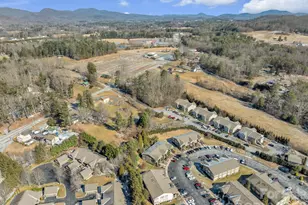 1501 Deermouse Way, Hendersonville, NC 28792 - Photo 31