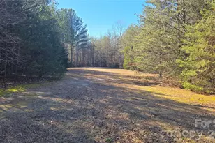 591 Landrum Rd, Columbus, NC 28722 - Photo 19