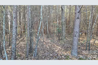 591 Landrum Road, Columbus, NC 28722 - Photo 21