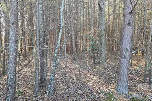 591 Landrum Rd, Columbus, NC 28722 - Photo 21