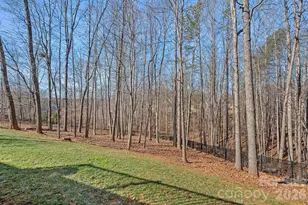 369 Cove Creek Loop, Mooresville, NC 28117 - Photo 35