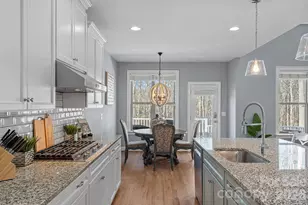 369 Cove Creek Loop, Mooresville, NC 28117 - Photo 11