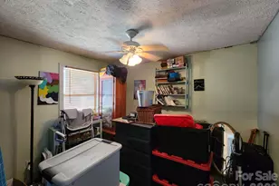 41 Gunches Dirt Rd, Candler, NC 28715 - Photo 19