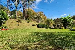 41 Gunches Dirt Rd, Candler, NC 28715 - Photo 29