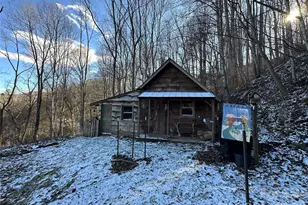 55 Comet Ln, Waynesville, NC 28785 - Photo 21