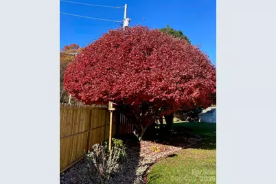 79 Sunflower Lane, Waynesville, NC 28785 - Photo 29