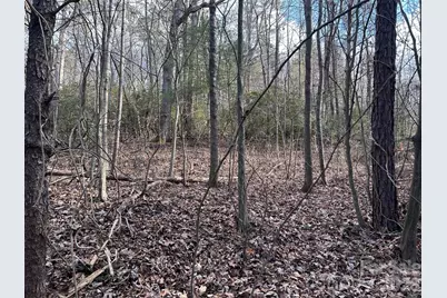 301 Burke Street, Rhodhiss, NC 28601 - Photo 5