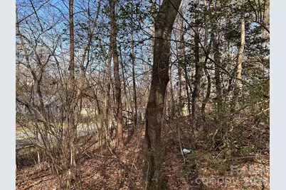 303 Burke Street, Rhodhiss, NC 28601 - Photo 9