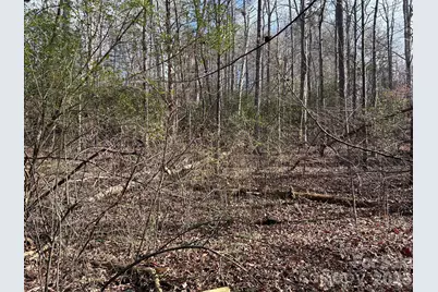 303 Burke Street, Rhodhiss, NC 28601 - Photo 5