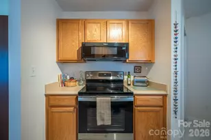 131 Ewarts Pond Rd, Hendersonville, NC 28739 - Photo 17