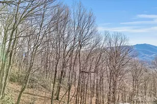 371 Falcon Ridge Dr, Waynesville, NC 28786 - Photo 47