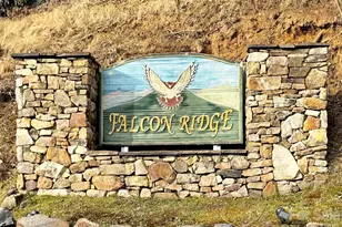 371 Falcon Ridge Dr, Waynesville, NC 28786 - Photo 19