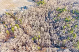 6872 Buttercup Ln, Kannapolis, NC 28081 - Photo 15