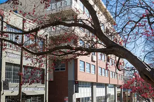 12 S Lexington Ave, Asheville, NC 28801 - Photo 35