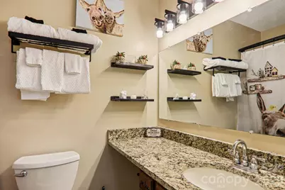 129 Riverside Villa Drive, Maggie Valley, NC 28751 - Photo 25