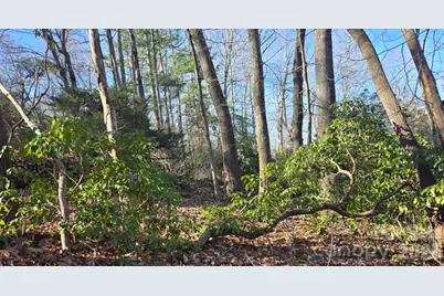 120 Breckenridge Court, Hendersonville, NC 28739 - Photo 45