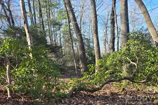 120 Breckenridge Ct, Hendersonville, NC 28739 - Photo 45