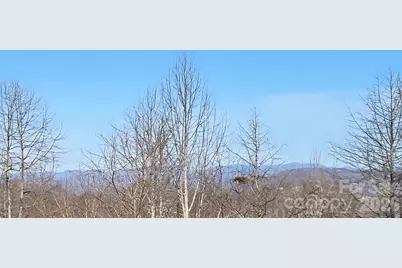 120 Breckenridge Court, Hendersonville, NC 28739 - Photo 25