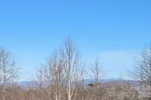 120 Breckenridge Ct, Hendersonville, NC 28739 - Photo 25