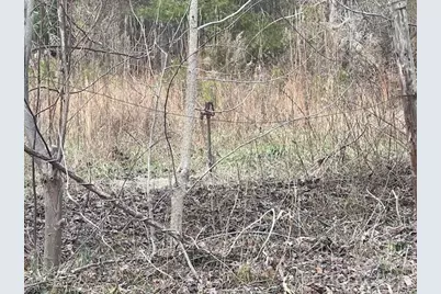 593 Brooks Road, Bostic, NC 28018 - Photo 11