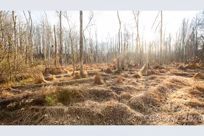 Tbd Upright Road, Mount Ulla, NC 28125 - Photo 29