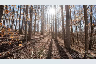 Tbd Upright Road, Mount Ulla, NC 28125 - Photo 33