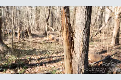 Tbd Upright Road, Mount Ulla, NC 28125 - Photo 9