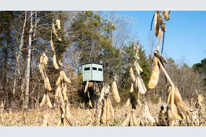 Tbd Upright Road, Mount Ulla, NC 28125 - Photo 3