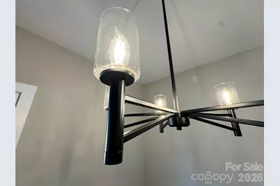 208 Pine Street, Rockwell, NC 28138 - Photo 19