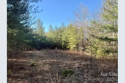 2095 Hitching Post Trail #G45, Lenoir, NC 28645 - Photo 5