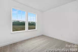 155 Soft Breeze Bend, Locust, NC 28097 - Photo 19