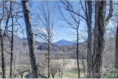 241 Sherrill Lane, Canton, NC 28716 - Photo 5