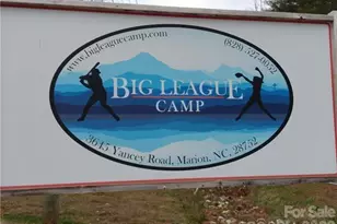 877 Biggerstaff Loop, Nebo, NC 28761 - Photo 19